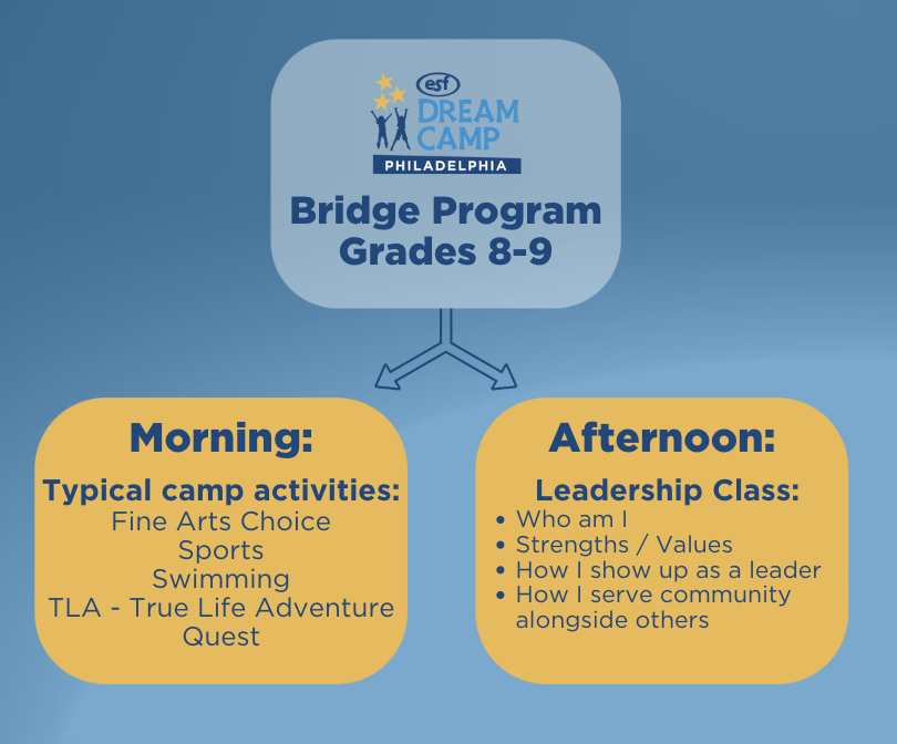 bridge program